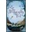 The Dragonfly Pool - Eva Ibbotson