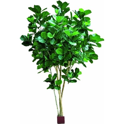 Luxusní umělý strom FICUS LYRATA MULTI TREE, 420cm