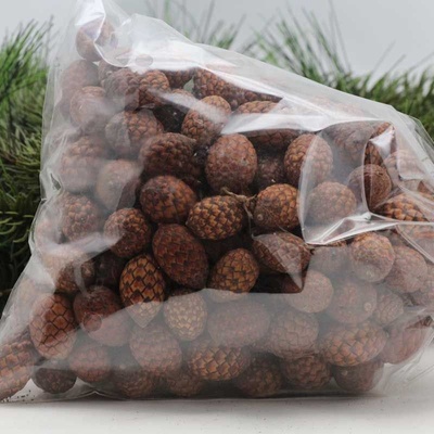 Cane fruit 500g