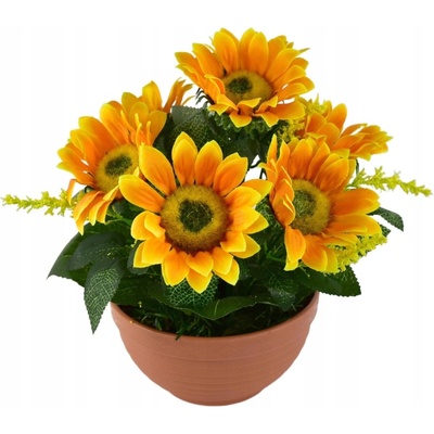 Sluněčníce 7 květů v terakotové misce Ø24/26 cm