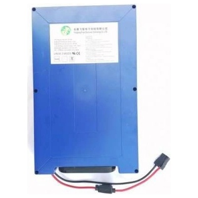 Baterie 48V 12Ah X-scooters XT03/XR03 Li