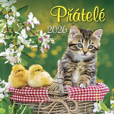Přátelé nástěnný ERVÍN BURDA 2026