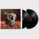 SOAP & SKIN - TORSO 2 LP