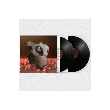 SOAP & SKIN - TORSO 2 LP
