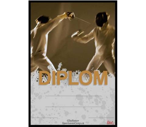 DS08a Diplom šerm