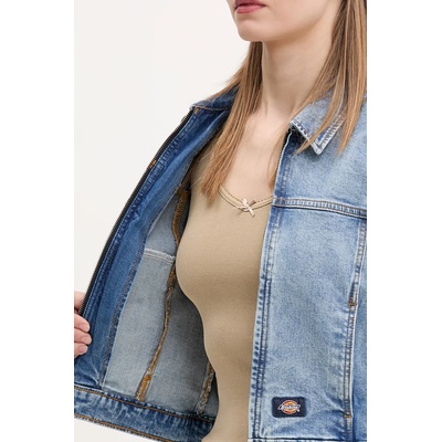 Dickies Яке Dickies (DK0A4ZANK211)