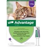 Bayer Advantage - за котки (0, 8 мл x 4) *разтвор* блистерна опаковка