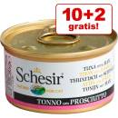 Krmivo pro kočky Schesir jelly tuňák & krevety 12 x 85 g