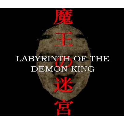 Labyrinth of the Demon King