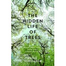 The Hidden Life Of Trees