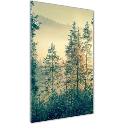 Vertikálny foto obraz sklenený Hmla nad lesom 50x100 cm
