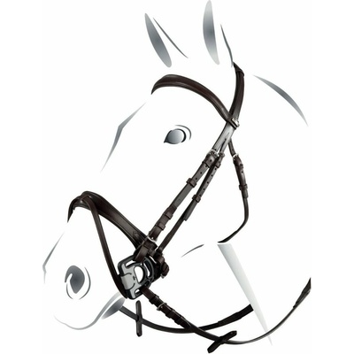 Equestro Jubilee s anglickým nánosníkom Koňaková