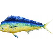 GABY plyšová hračka ryba vankúš KORYFENA 112 cm