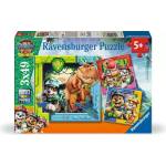 Ravensburger - Puzzle 3x49 Paw Patrol 3 Dino Movie - 40 - 99 piese