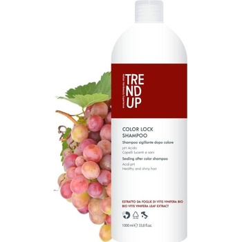 Trend Up Color Lock Shampoo pro barvené vlasy 1000 ml