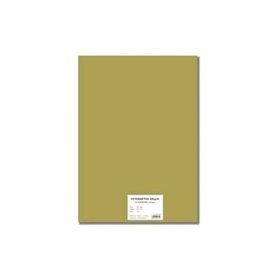 STEPA Barevný karton EXTRA 300g 50x70cm - zlatý 10listů