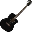 Cort Jade-1