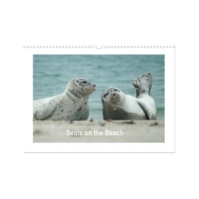 Seals on the Beach Wall DIN A3 landscape CALVENDO 12 Month Wall 2026