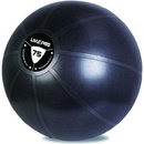 gymball LivePro STUDIO FIT EXERCISE 55 cm 65 cm