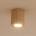 TK Lighting 11442
