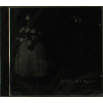 EX: BLUEPRINTS FOR A BLACKOUT CD