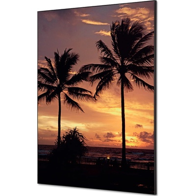 Jansen Display Textilní dekorace na zeď A1 Palmy západ slunce, 594 x 841 mm