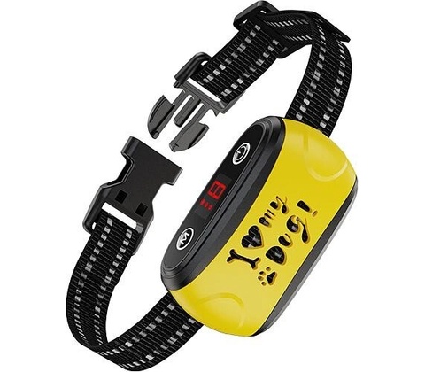 Patpet B300