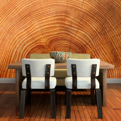 Tapeta SABLIO Dřevo 2, rozměry 336x220 cm