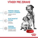 Royal Canin Starter Mother&Babydog Medium 1 kg