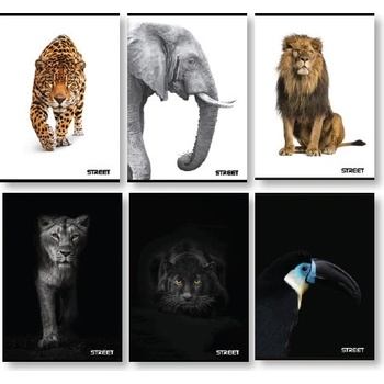 STREET Тетрадка Street, А4, бели листа, 54л, Safari (24472-А-SAFARI)