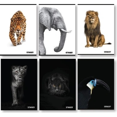 STREET Тетрадка Street, А4, бели листа, 54л, Safari (24472-А-SAFARI)