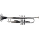 Soundsation STPSL-10