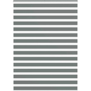 vidaXL Зеброва щора 165x200 см Ширина на плата 160, 9 см Полиестер (4014170)