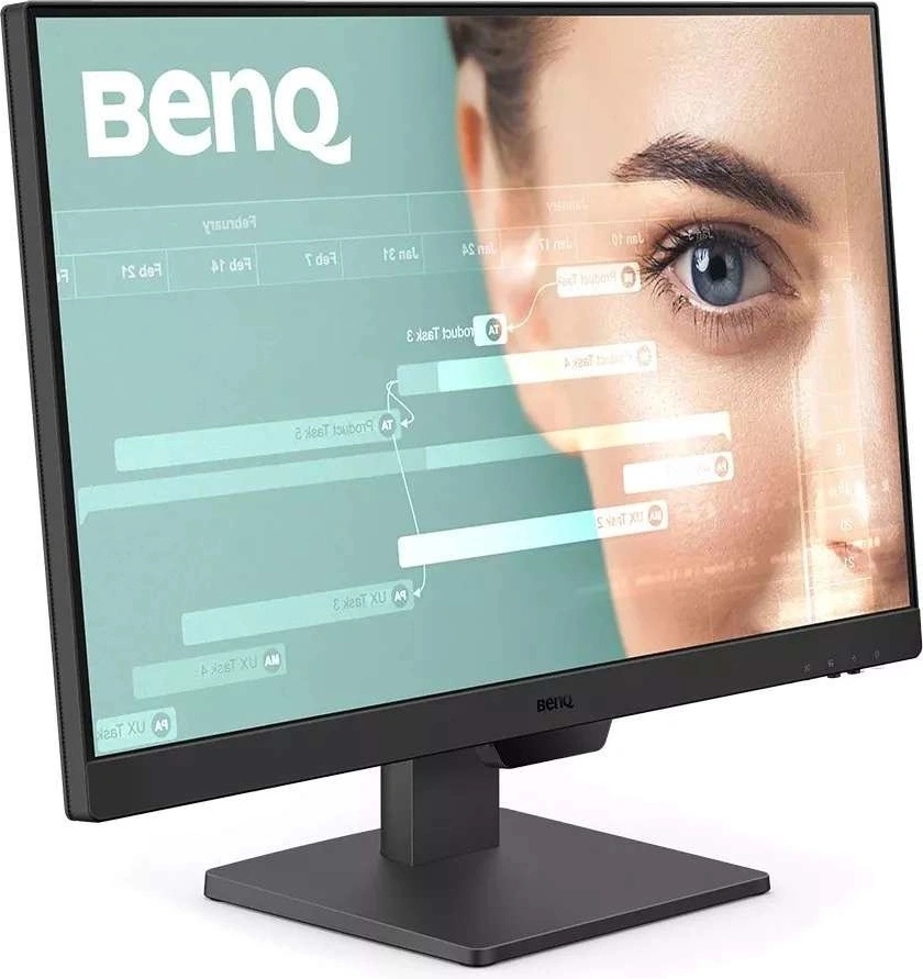 BenQ GW2490