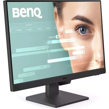 BenQ GW2490