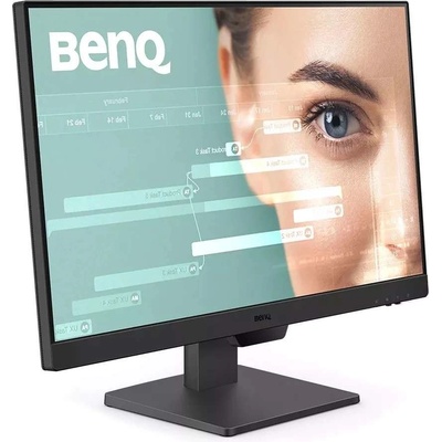 BenQ GW2490