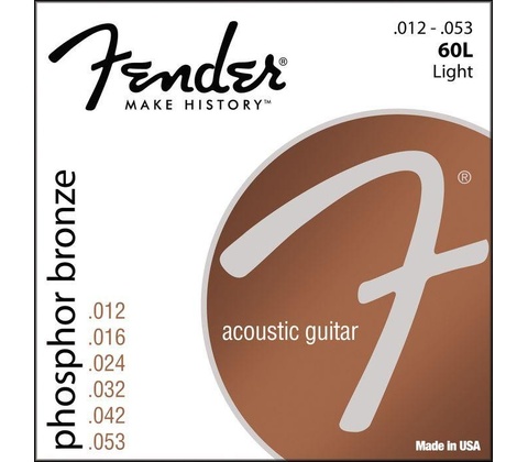 Fender 60L