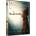 Multiland Pinocchio (2019) - DVD (041382)