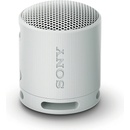 Sony SRS-XB100H
