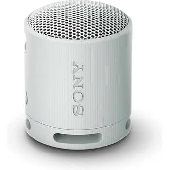 Sony SRS-XB100H