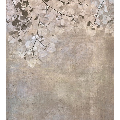 DIMEX MS-3-0366 vliesová fototapeta rozměry 225 x 250 cm