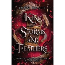 King of Storms and Feathers: A Fae Fantasy Bully Romance Heart JunoPaperback