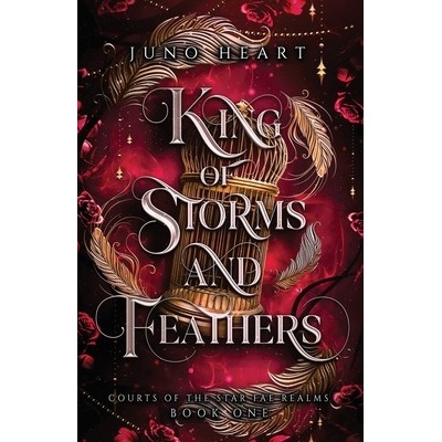 King of Storms and Feathers: A Fae Fantasy Bully Romance Heart JunoPaperback