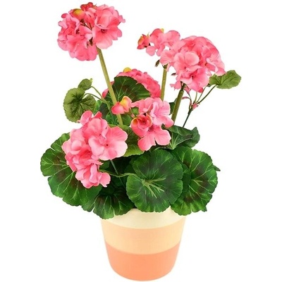 DOMMIO Muškát v keramickom kvetináči 40 × 25 cm svetlo ružový