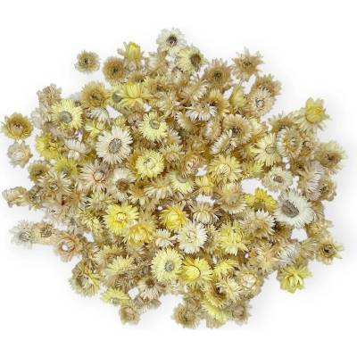 Sušené slamienky - hlavičky Helichrysum 100g - pastelovo žltý mix