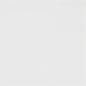 Santex Servítky jednofarebné biela 21x20 cm