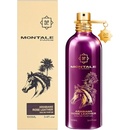 Montale Arabians Rose Leather EDP 100 ml