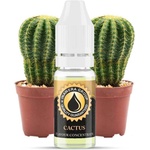 Inawera Концентрат за база Inawera с аромaт Cactus 10ml