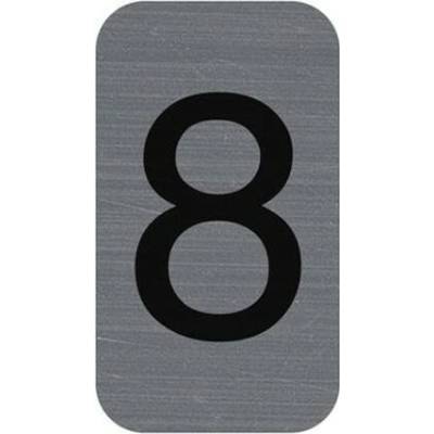 Informačná tabuľka, samolepiaca, 2,5x4,4 cm, hliníkový vzhľad, EXACOMPTA, č. 8