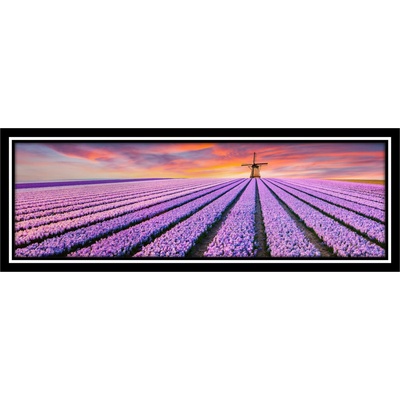 Bondecor Obraz v rámu "Levandule" 50x20cm Barva: Bílý rám